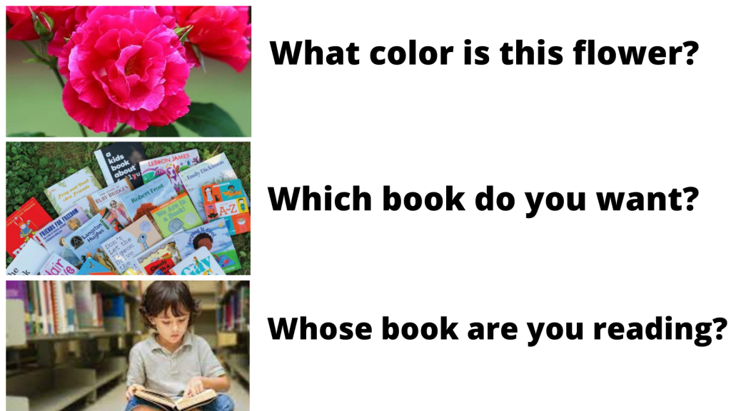 interrogative adjective