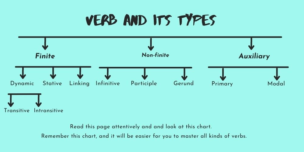 verb-and-its-types